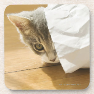Dessous-de-verre Chaton se cachant dans le sac de papier