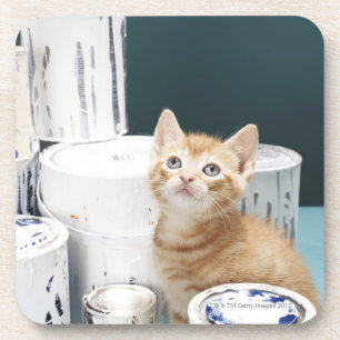 Dessous-de-verre Chaton se reposant parmi des bidons de peinture