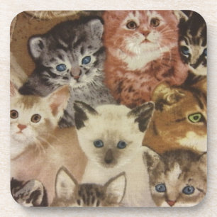 Dessous-de-verre Chatons