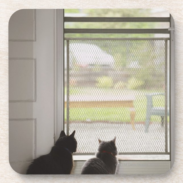 Dessous-de-verre Chats regardant la porte grillagée (Devant)