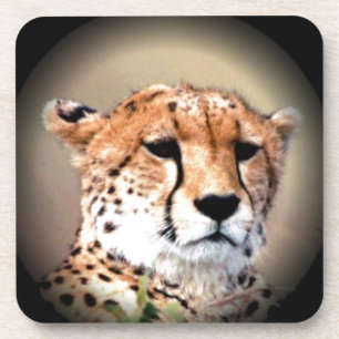 Dessous-de-verre Cheetah Tear Marks Hakunamatata