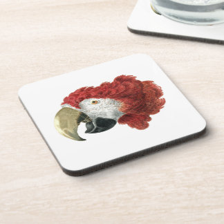 Dessous-de-verre Chef d'une Macaw (1725-1792) Aert Schouman