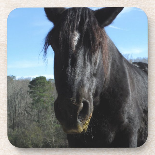 Dessous-de-verre Cheval à bascule noir secouru (Devant)