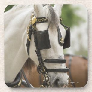 Dessous-de-verre Cheval avec des oeillères
