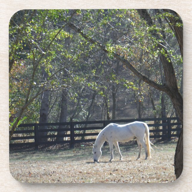 Dessous-de-verre Cheval blanc dans les arbres (Devant)