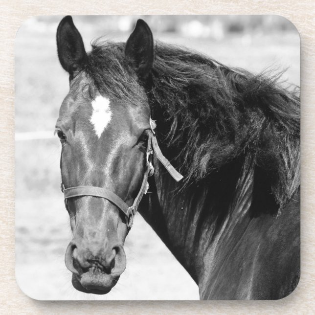 Dessous-de-verre Cheval blanc noir (Devant)