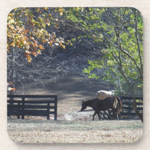 Dessous-de-verre Cheval Brown à pied à travers la clôture