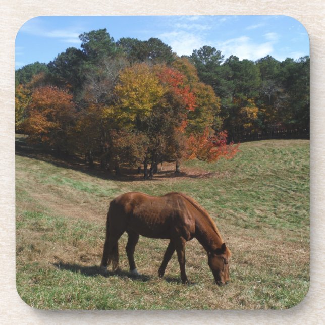 Dessous-de-verre Cheval Brown avec arbres à automne (Devant)