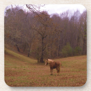 Dessous-de-verre Cheval Brown et blond dans un champ
