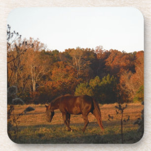 Dessous-de-verre Cheval Brown rouge, bois d'automne.