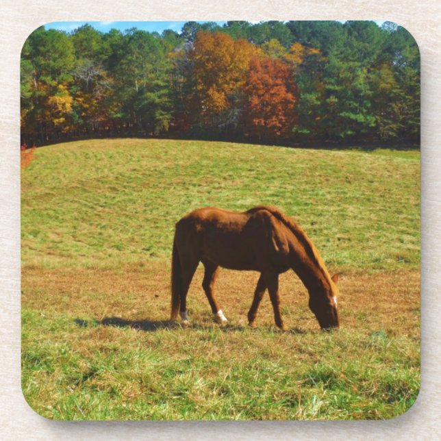 Dessous-de-verre Cheval Brown rouge dans les arbres d'automne (Devant)