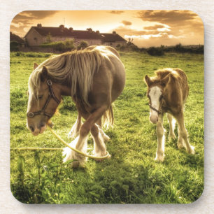 Dessous-de-verre Cheval de mère et de poulain