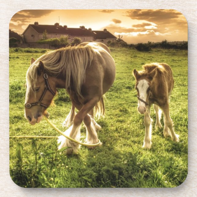 Dessous-de-verre Cheval de mère et de poulain (Devant)