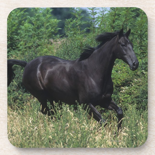 Dessous-de-verre Cheval de pur sang fonctionnant dans l'herbe (Devant)