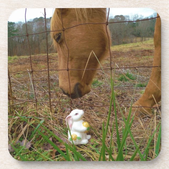 Dessous-de-verre cheval et fleur de printemps Bunny (Devant)