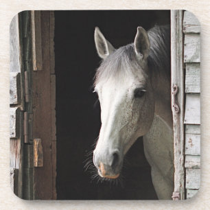 Dessous-de-verre Cheval gris de jument
