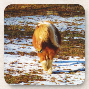 Dessous-de-verre Cheval miniature Brown et crème dans la neige.