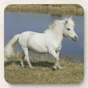 Dessous-de-verre Cheval miniature fonctionnant près de l'eau