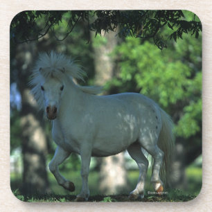 Dessous-de-verre Cheval miniature se tenant dans les arbres