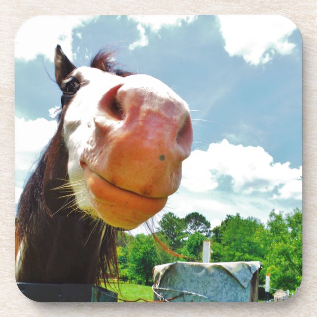Dessous-de-verre Cheval souriant (Devant)