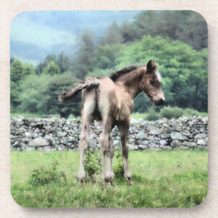 DESSOUS-DE-VERRE CHEVAUX