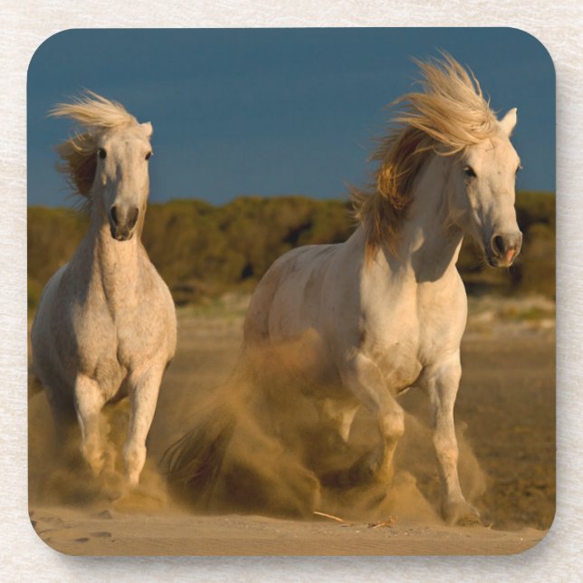 Dessous-de-verre Chevaux blancs fonctionnant sur la plage | (Devant)