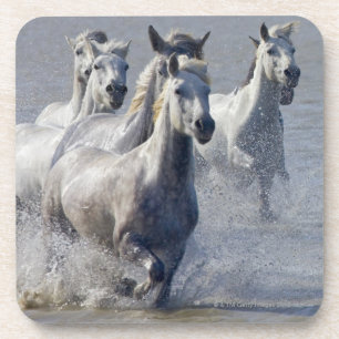 Dessous-de-verre Chevaux de Camargue fonctionnant sur le marécage