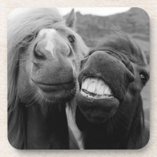 Dessous-de-verre Chevaux de sourire des images de Getty