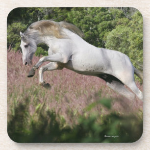 Dessous-de-verre Chevaux d'imaginaire : Galop de ressort