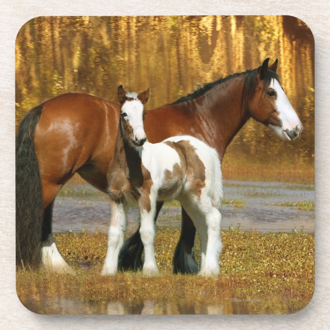 Dessous-de-verre Chevaux d'imaginaire : Jument et poulain (Devant)