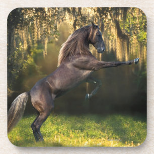 Dessous-de-verre Chevaux d'imaginaire : Prince de guerrier