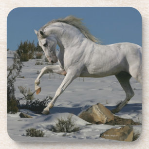 Dessous-de-verre Chevaux d'imaginaire : Roi de neige
