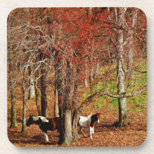 Dessous-de-verre Chevaux jumeaux Brown et blancs