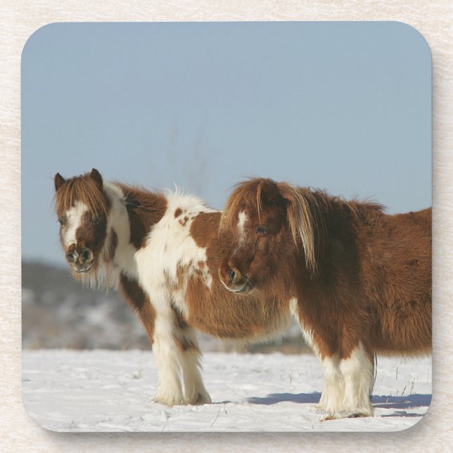 Dessous-de-verre Chevaux miniatures se tenant dans la neige (Devant)