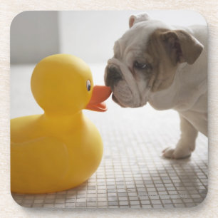 Dessous-de-verre Chien avec le canard en plastique
