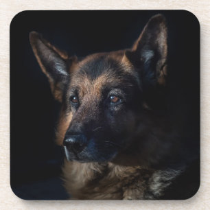 Dessous-de-verre Chien berger allemand