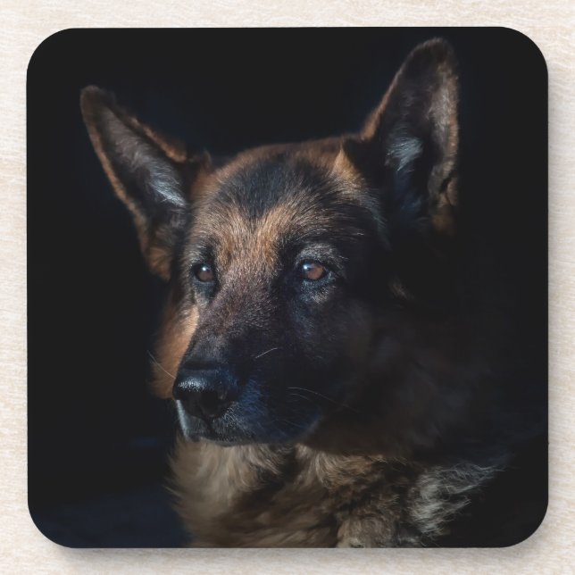 Dessous-de-verre Chien berger allemand (Devant)