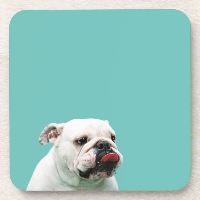 Dessous-de-verre Chien blanc mignon Bulldog (Devant)