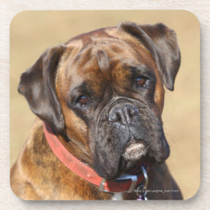 Dessous-de-verre Chien Brindle de boxeur