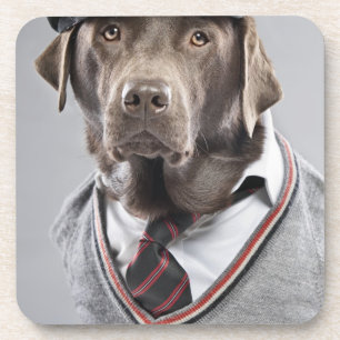 Dessous-de-verre Chien dans le chandail et le casquette