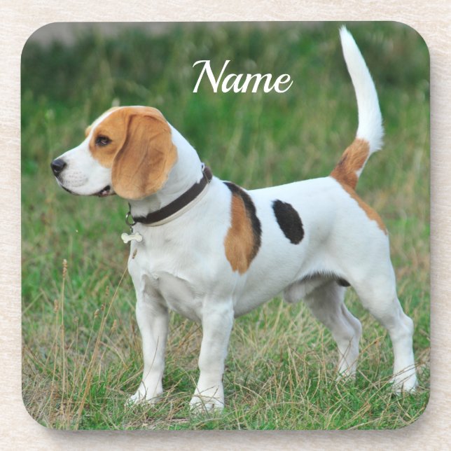 Dessous-de-verre Chien de chien de chien Beagle personnalisé (Devant)