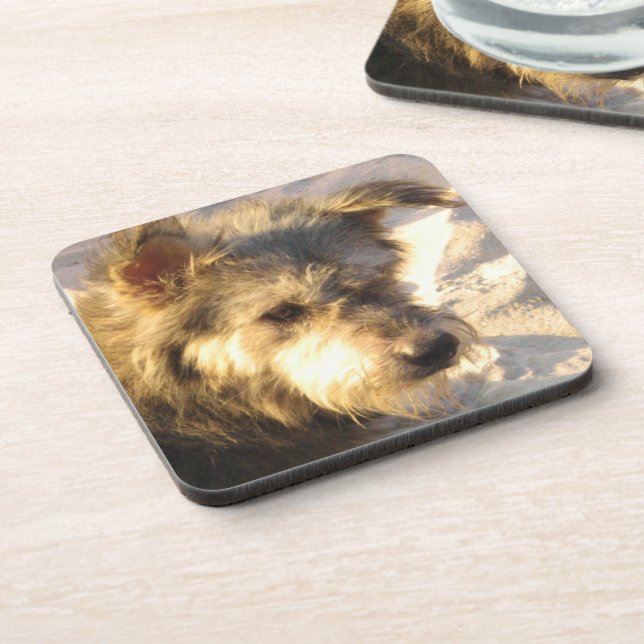 Dessous-de-verre Chien de plage thaïlandais (Côté gauche)