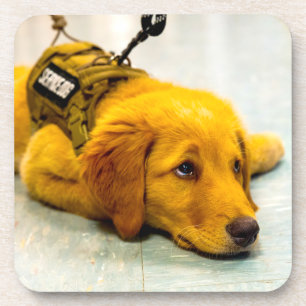 DESSOUS-DE-VERRE CHIEN DE SERVICE MILITAIRE AMÉRICAIN