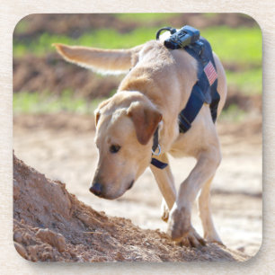 DESSOUS-DE-VERRE CHIEN DE TRAVAIL MILITAIRE AMÉRICAIN