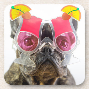 Dessous-de-verre Chien des images de Getty avec des verres de