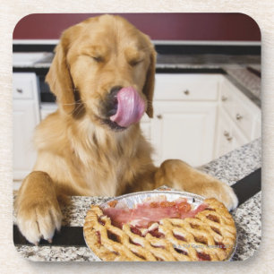 Dessous-de-verre Chien léchant le nez après avoir mangé la tarte