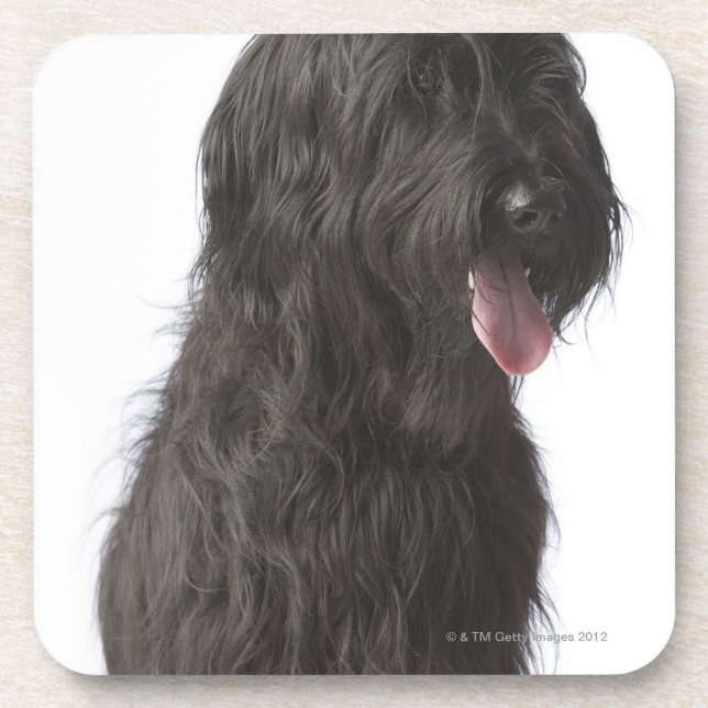 Dessous-de-verre Chien noir, Briard (Devant)
