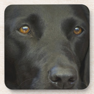 Dessous-de-verre Chien noir de Labrador