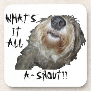 Dessous-de-verre Chien "QU'EST-CE QUE C'EST QUE DE LA NEIGE ? ?" De