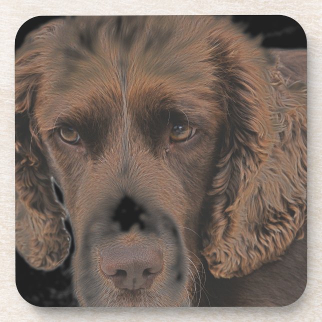 Dessous-de-verre Chiens Springer anglais (Devant)